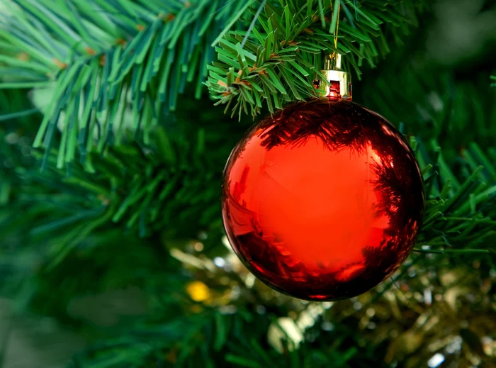 Tis The Season But Don't Worry We Have You Covered! - 2